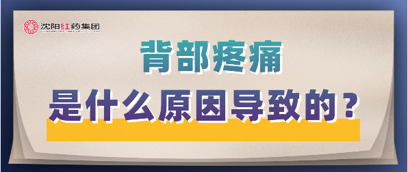 背部疼痛是什么原因导致的？